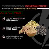 4 - Vaamveda Sports Testosterone Booster Testo Boost Long Time Stamina for Men Supplements, 30 capsules Unflavoured