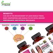 4 - Humming Herbs Turkesterone,  90 capsules 