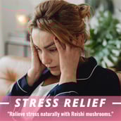 2 - Humming Herbs Organic Reishi Mushroom Blend,  90 capsules 