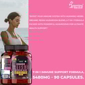 7 - Humming Herbs Organic Reishi Mushroom Blend,  90 capsules 