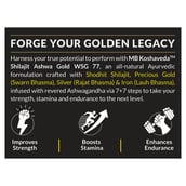 3 - Koshaveda Shilajit Ashwa Gold WSG-77 by MuscleBlaze,  20 g 