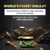4 - Himalayan Organics Himalayan Shilajit Gold Resin, 25 g