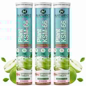 1 - Naturyz Plant KSM-66 with Ashwagandha(Apple Green Flavour),  45 tablet(s) 