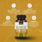 5 - StemRX Ashwagandha,  60 capsules 