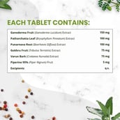 5 - Himalayan Organics Plant Based Kidney Detox, 60 tablet(s)