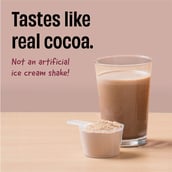 4 - The Whole Truth Whey Protein, 6 sachets/pack Light Cocoa