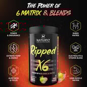 9 - Naturyz Pre-Form X6 & Ripped X6 0.88 lb Combo,  2 Piece(s)/Pack  Aam Panna &  Guava 