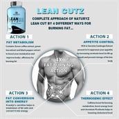 6 - Naturyz LEAN CUTZ Thermogenic Fat Burner 60 Tablets & Triple Strength Green Coffee Bean Extract Combo, 450 ml Unflavoured & Orange