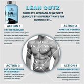 5 - Naturyz Lean Cutz Thermogenic Fat Burner,  60 tablet(s)  Unflavoured (Pack of 2) 