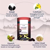 4 - Kindly Health Pure Himalayan Shilajit,  30 gummies 