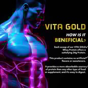 9 - Vitaminnica Vita Gold Whey Protein Blend,  5 lb  Strawberry Cheese Cake 