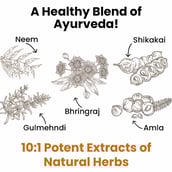 3 - myUpchar Ayurveda Kesh Art Bhringraj Shampoo,  200 ml  Anti-Dandruff 