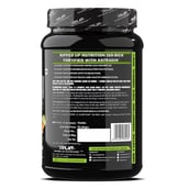 3 - Ripped Up Nutrition Iso-Rich Premium, 2.2 lb Pistachio Ice Cream