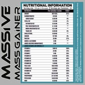 4 - Ripped Up Nutrition Massive Mass Gainer,  6.6 lb  Pistachio Ice Cream 
