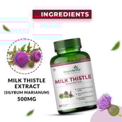 7 - Simply Herbal Milk Thistle 500mg,  60 capsules 