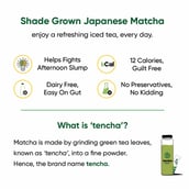 5 - Tencha Iced Matcha Cold Blend Green Tea, 180 g Japanese Matcha (with Shaker)