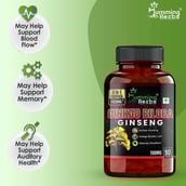 5 - Humming Herbs Ginkgo Biloba Ginseng,  180 capsules 