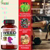 2 - Humming Herbs Horny Goat Weed with Maca Root,  180 capsules 