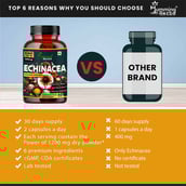 6 - Humming Herbs Echinacea 1200mg,  60 capsules 