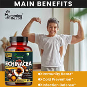 5 - Humming Herbs Echinacea 1200mg,  60 capsules 