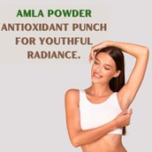 3 - Pure Nutrition Organic Amla Powder,  227 g 