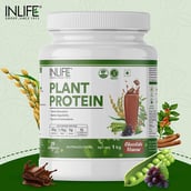 4 - INLIFE Vegan Plant Protein,  2.2 lb  Chocolate 