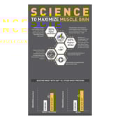 1 - MuscleBlaze Biozyme Iso-Zero,  2.2 lb  Low Carb Tropical Mango