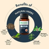 3 - Dr. Vaidya's Liver Care,  60 tablets 