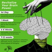 5 - Health Veda Organics Ginkgo Biloba,  60 capsules 