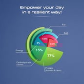 4 - Apex Vitals 1 Whey 27 g Protein,  4 lb  Blueberry Yoghurt 