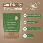 2 - Cosmix No-Nonsense Plant Protein, 12 sachets/pack Indonesian Cacao