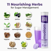 4 - Muditam Karela Jamun Fizz,  Unflavoured (Pack of 4)  20 tablet(s) 