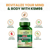 6 - Himalayan Organics KSM-66 Ashwagandha, 60 veggie capsule(s)