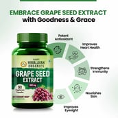 5 - Himalayan Organics Grape Seed Extract 500 mg,  90 veggie capsule(s) 