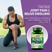 6 - Himalayan Organics Alfalfa + Calcium Citrate Malate 1200mg, 120 tablet(s) Unflavoured