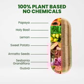 6 - Himalayan Organics Plant Based Multivitamin,  60 veggie capsule(s)  Unflavoured 