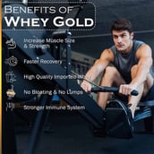 5 - Nakpro Whey Gold Protein Concentrate,  1.1 lb  Chocolate Cream 