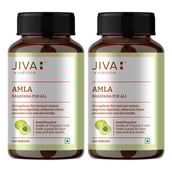 1 - Jiva Ayurveda Amla (Pack of 2),  120 tablet(s) 