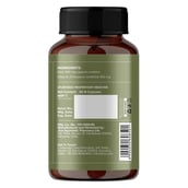 2 - Jiva Ayurveda Giloy (Pack of 3),  60 capsules 