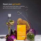 3 - Origins Nutra Gut Restore,  28 veggie capsule(s) 