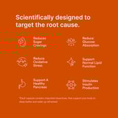 2 - Origins Nutra Blood Sugar Balance,  56 veggie capsule(s) 