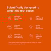 4 - Origins Nutra Metabolism Booster (Pack of 3),  56 veggie capsule(s) 