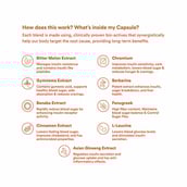 4 - Origins Nutra Blood Sugar Balance (Pack of 3),  56 veggie capsule(s) 