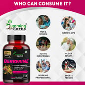 6 - Humming Herbs Berberine 8 in 1 Formula,  120 capsules 