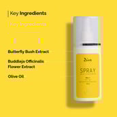 4 - Dive Spray Mist Sunscreen,  100 ml  with Olive Oil & Butterfly Bush Extract 