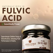 2 - Upakarma Ayurveda Pure Shilajit,  20 g 