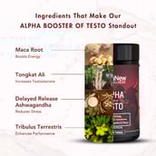 3 - WishNew Wellness Alpha Booster of Testo,  60 tablet(s)  Unflavoured 