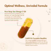 8 - WishNew Wellness Daily Ritual Triple Strength Omega-3 & CoQ-10, 60 capsules