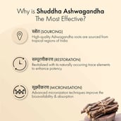 3 - Dr. Vaidya's Shuddha Ashwagandha (Pack of 3),  60 tablet(s) 