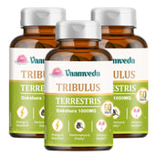 1 - Vaamveda Tribulus Terrestris Gokshura 1000mg,  60 tablet(s)  Unflavoured (Pack of 3) 